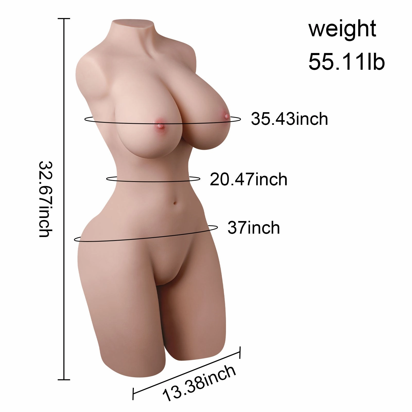 55.1 lb Female Torso