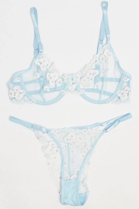 Blue Embroidery Lingerie Set
