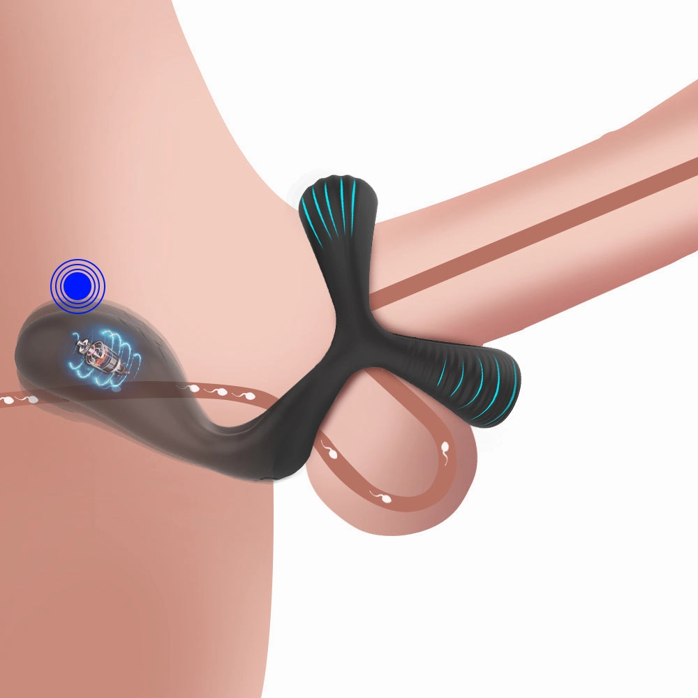 Couples Long Lasting Erection Anal Vibrator with Vibrating Cock Ring Prostate Massager Anal Plug Penis Ring