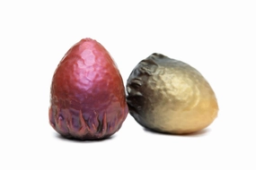 Gryphon Style Kegel Eggs Clutch