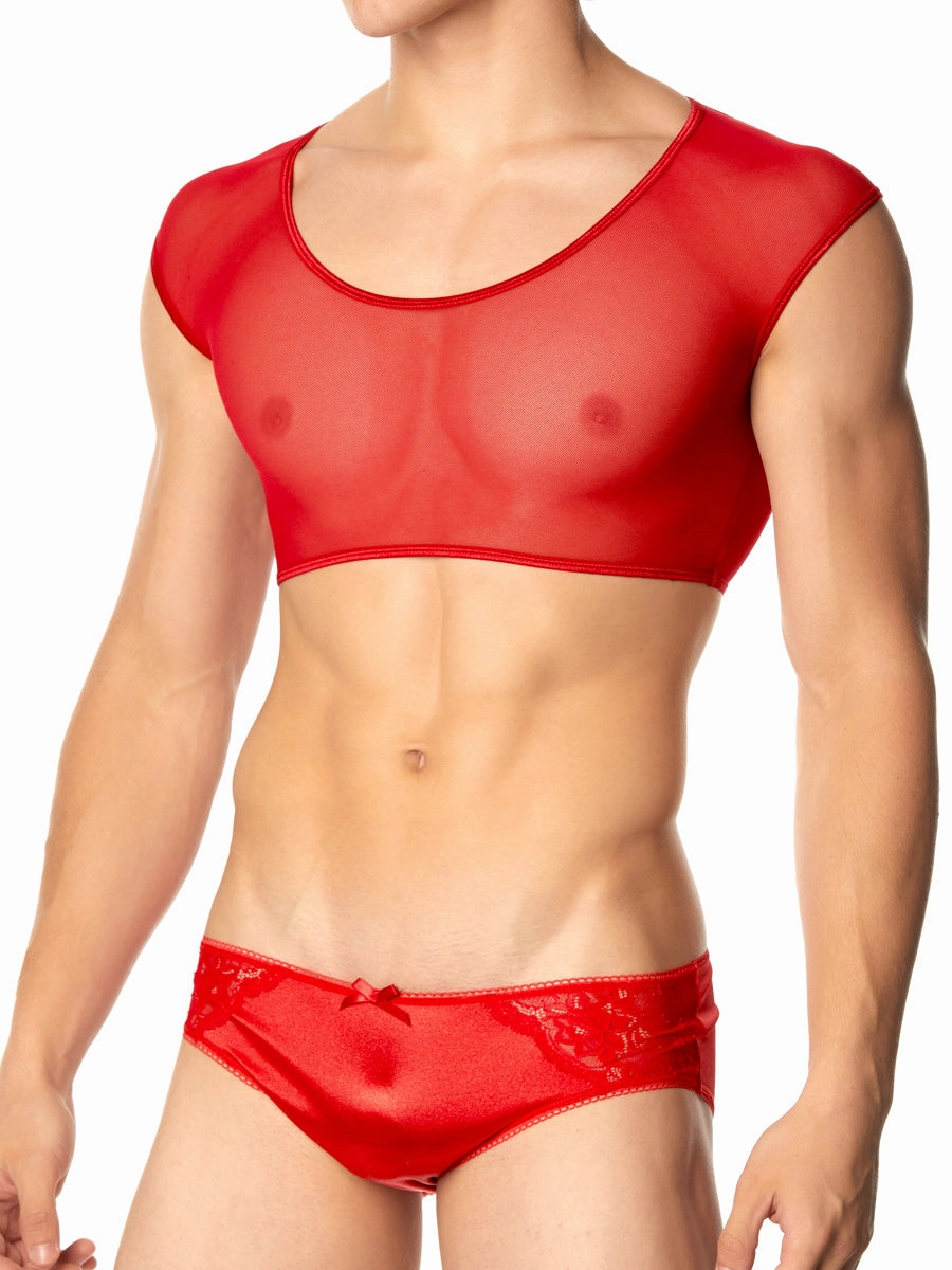 Mesh Crop Top