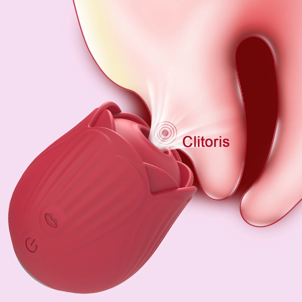 Multiple Suction Modes Rose Vibrator Clit Stimulator