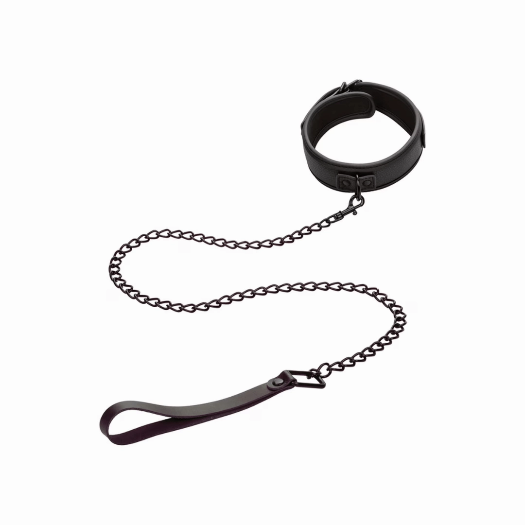 Nocturnal Collection Collar & Leash
