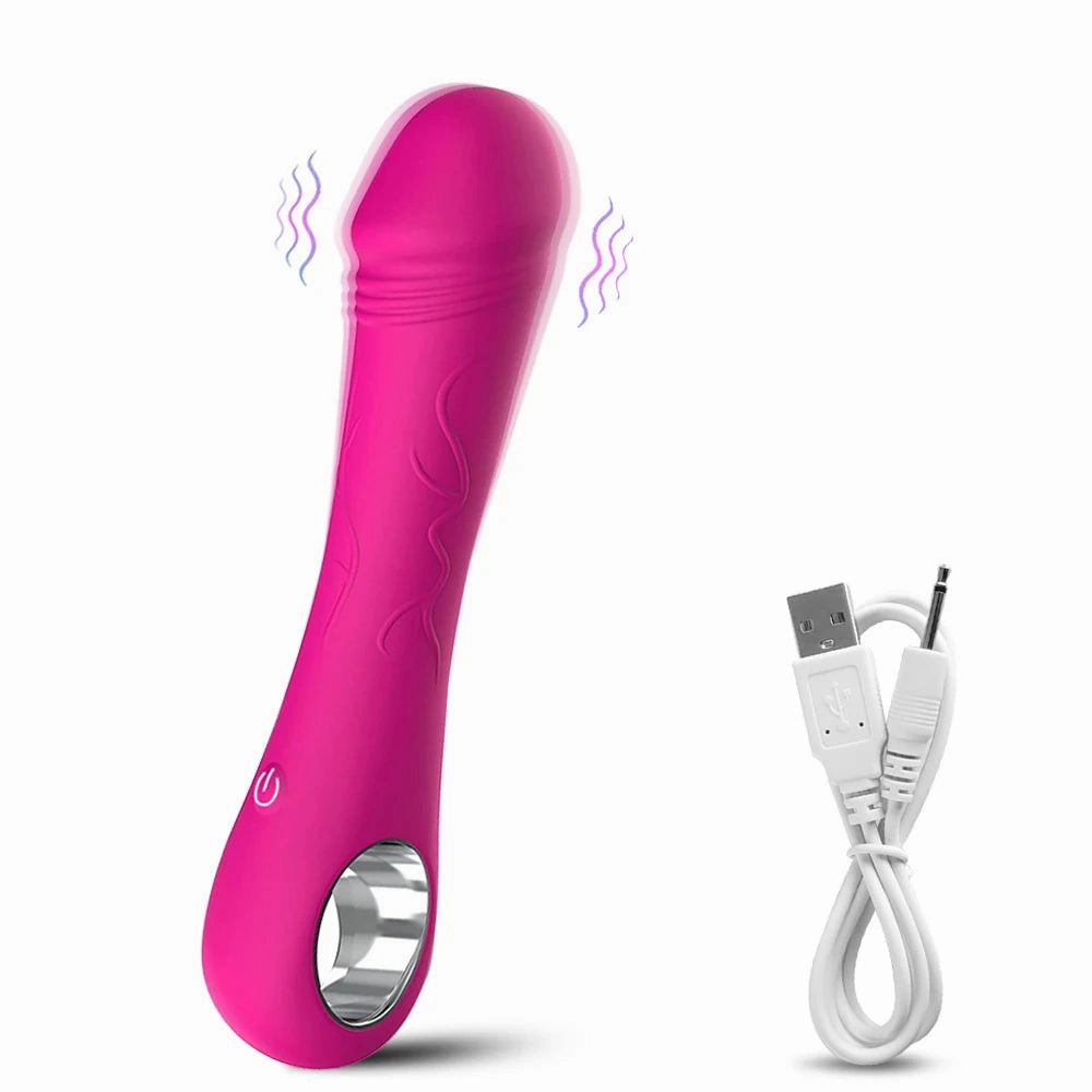 Rechargeable 10-Speed Silicone Vibrator - Realistic Dildo Clitoral Stimulator for Women