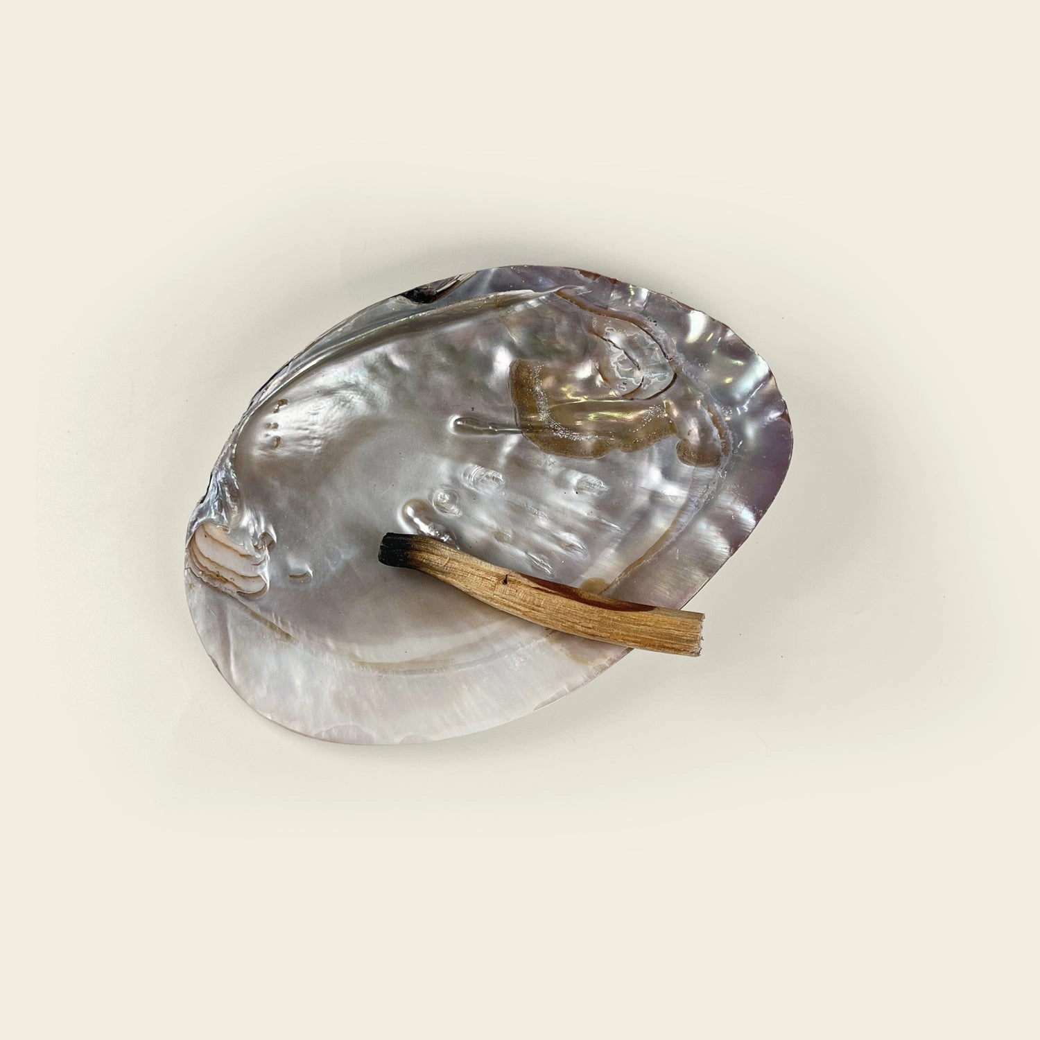SMUDGE | ABALONE SHELL