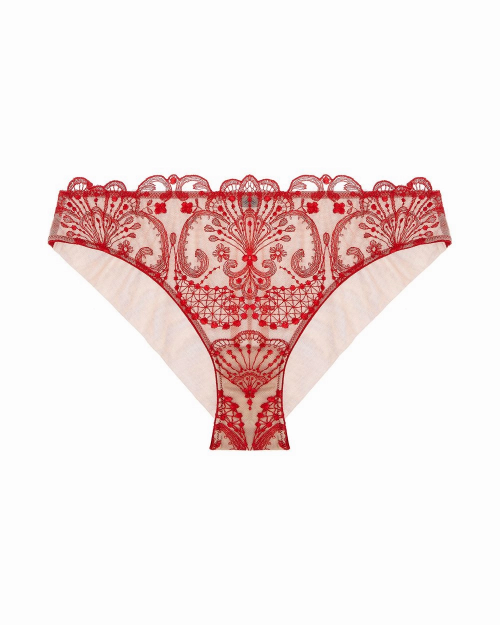 Spotlight Embroidered Brief