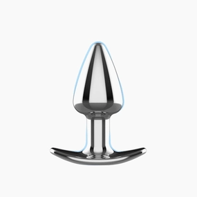 Stainless Steel Butt Plug with Vibration