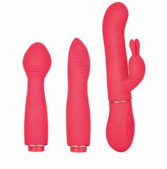 Vibrator Gift Set