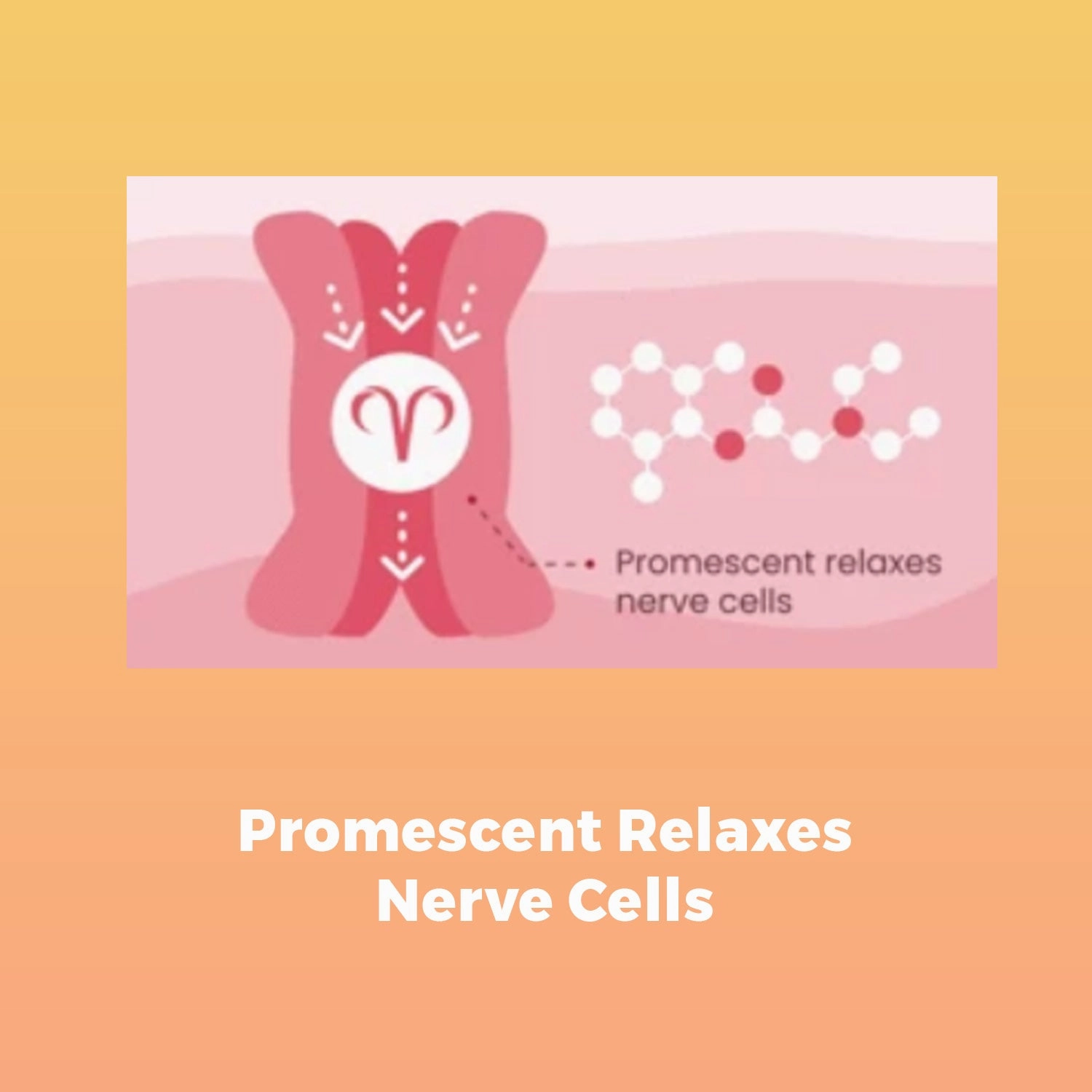 XmyBox Male Enhancement Gel 50g - PREORDER